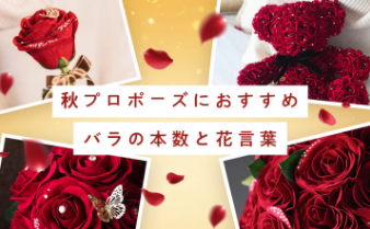 プロポーズで花束-誕生日に花をサプライズプレゼント｜MERIA-ROOM-PROPOSE（メリアルームプロポーズ）-11-11-2025_10_38_PM