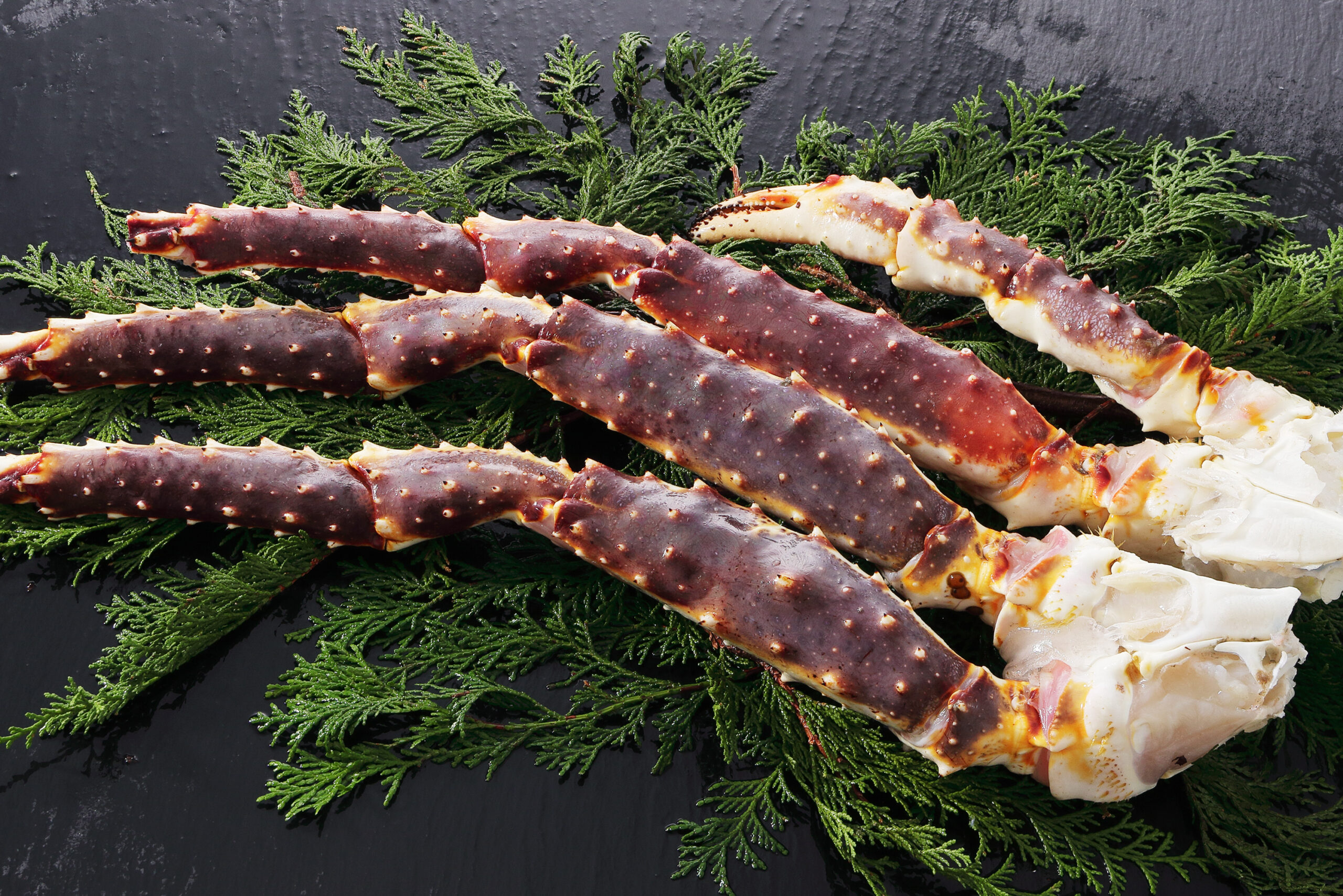 特大生たらば肩脚01