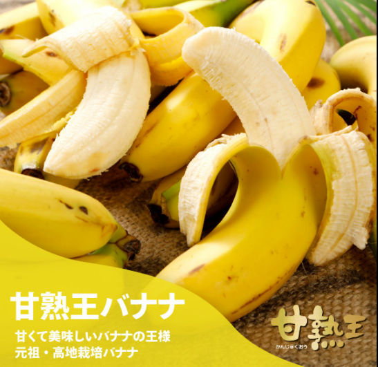 スクリーンショット (47)