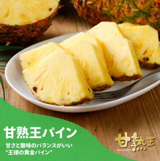 スクリーンショット (48)