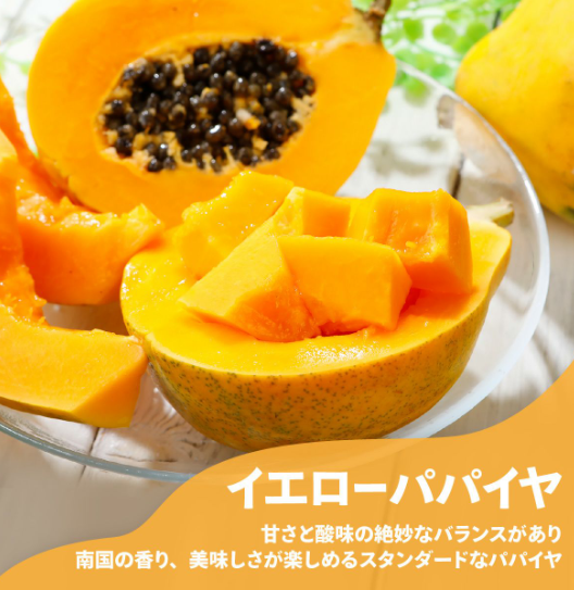 スクリーンショット (49)