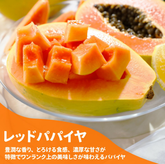 スクリーンショット (50)