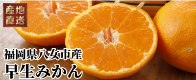 スミフルの美味しいマルシェ】通販-産地直送お取り寄せ-「甘熟王バナナ」でおなじみのスミフルが運営。-01-04-2026_10_13_PM